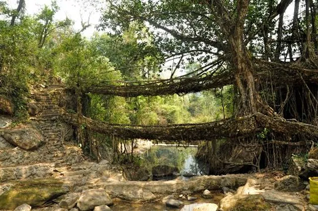 Jembatan Akar Bayang