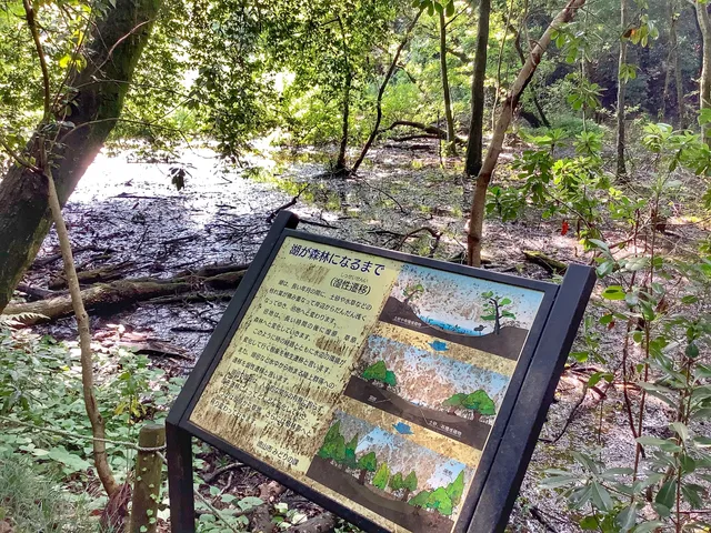 Nishihatsuishi Bird Forest