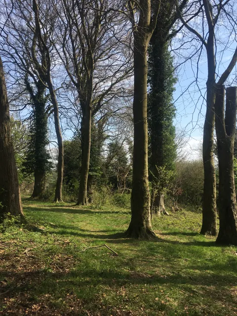 Old Park Hill Nature Reserve