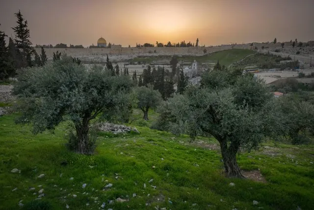 The Orson Hyde Memorial Gardens