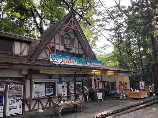 Mt Takao Monkey Park & Wildflower Garden