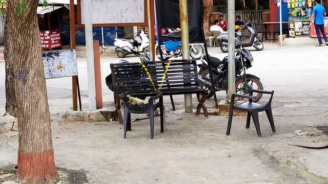 Lake View Restaurant