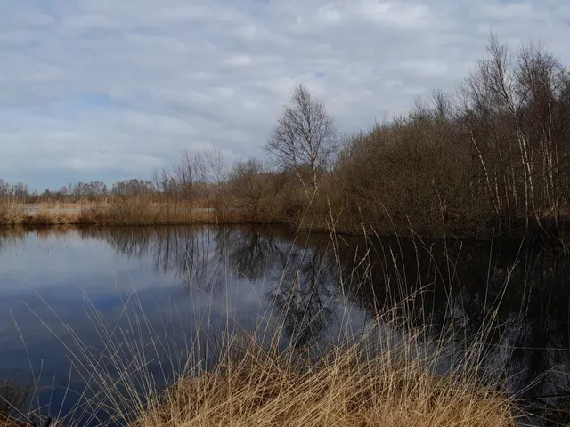 Ostroher- & Süderholmer-Moor