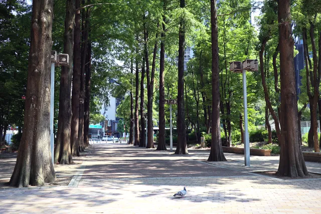 KamiFukushima-kita Park