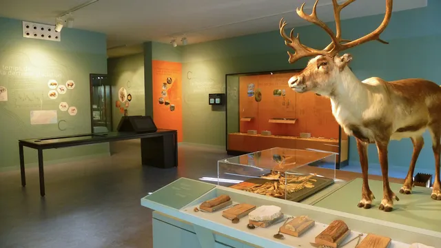 Aven d'Orgnac Grand site de France, Cité de la Préhistoire