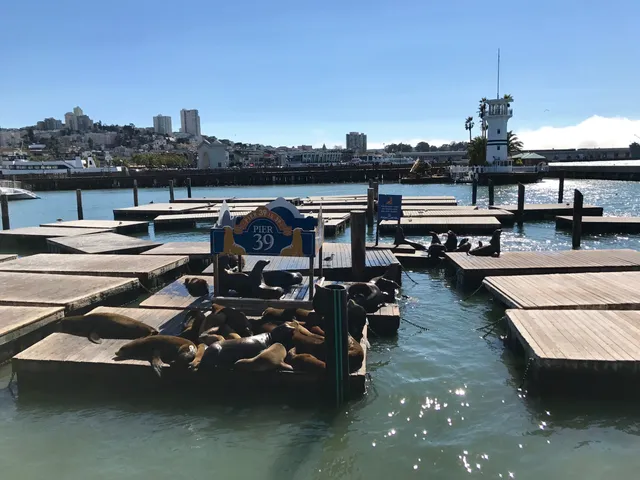 PIER 39