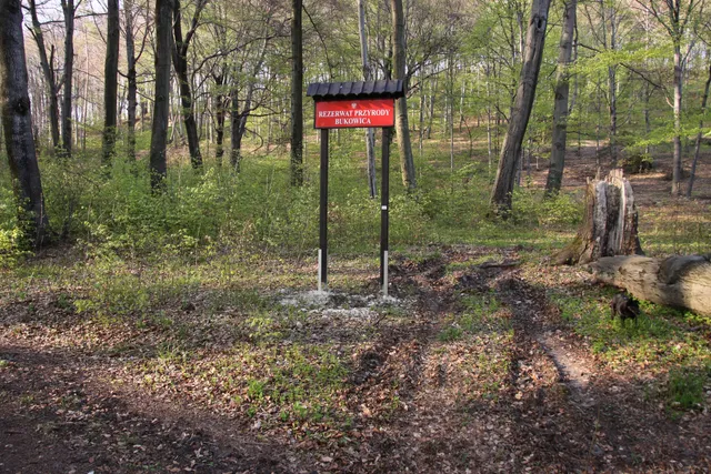 Nature reserve Bukowica