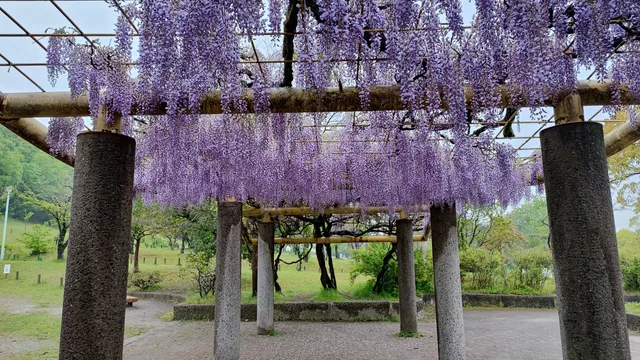 Fujigaoka Design Park