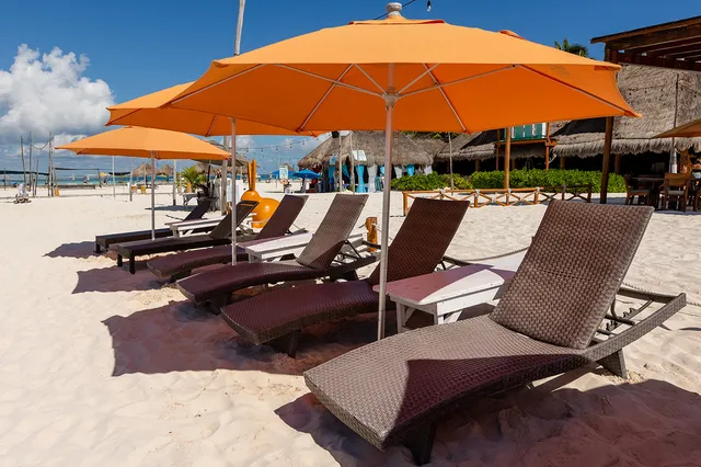 Zama Beach Cub