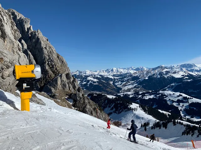 Bergbahn La Videmanette