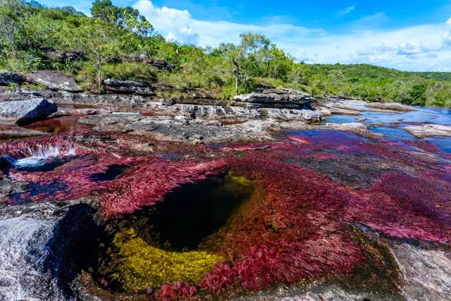 Parque Nacional Natural Serranía de La Macarena