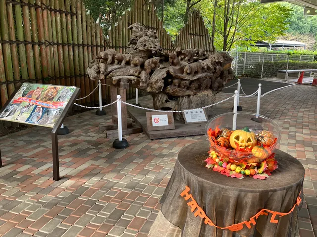 Freshness Burger Jungle Cafe