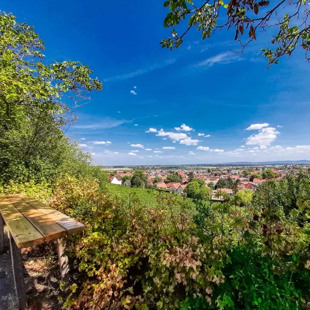 RheinTerrassenWeg-Etappe Guntersblum - Ludwigshöhe - Dienheim - Oppenheim
