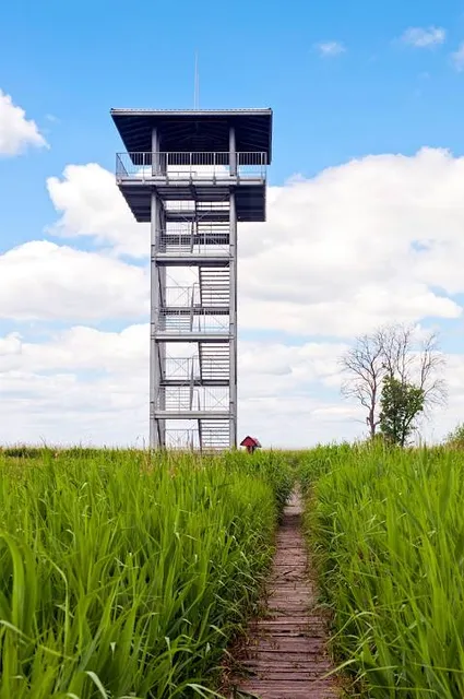 Wieża widokowa Stawy Przemkowskie