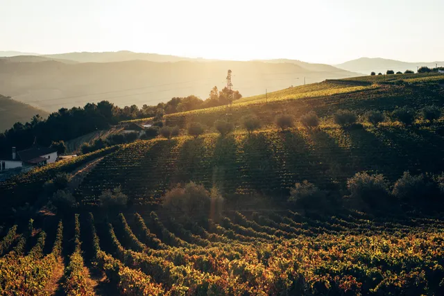 Quinta Da Fonte Do Milho