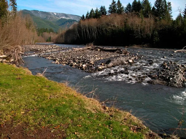 Federation Forest State Park