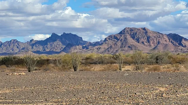 Kofa National Wildlife Refuge