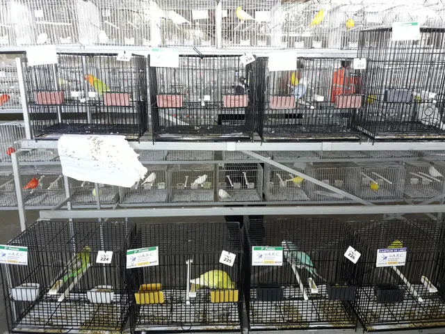 Complejo Ferial Córdoba