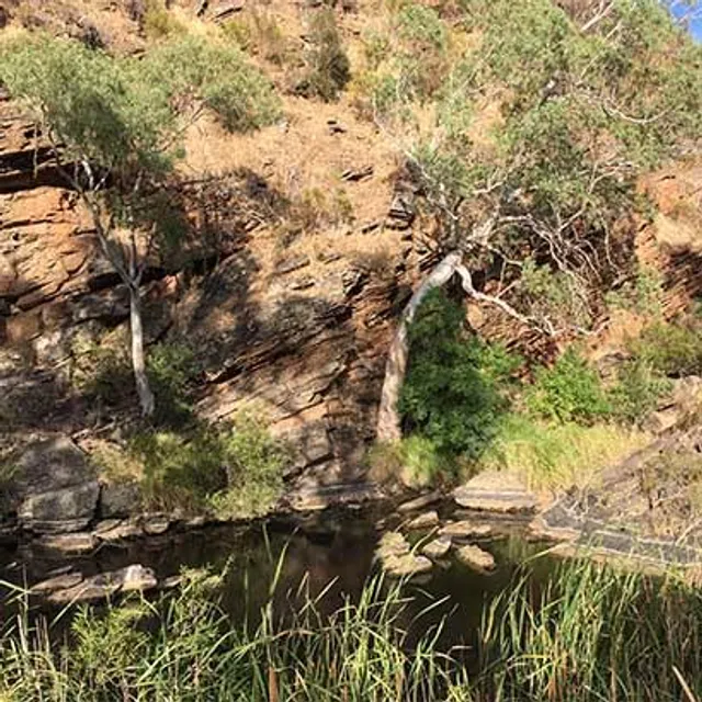 Onkaparinga Gorge