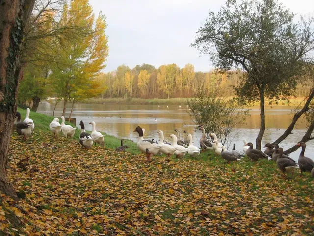 Lac d'Aussonne