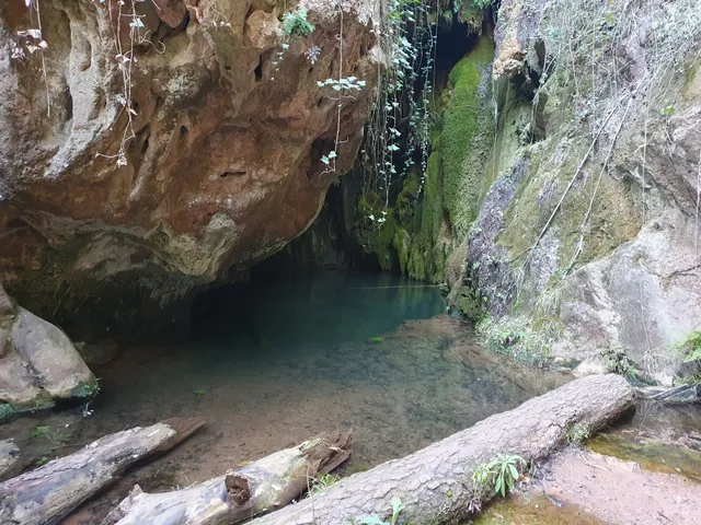 Font i Gorg de Pelags