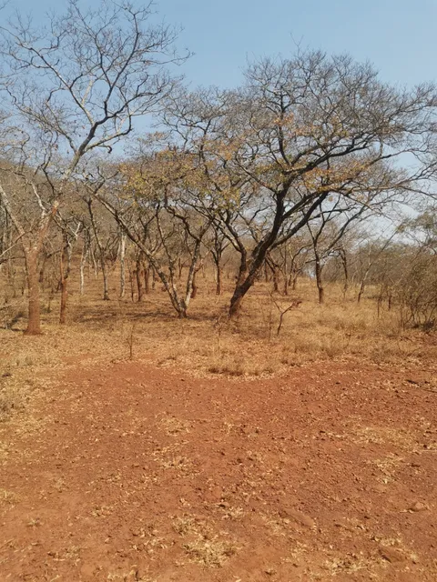 Lake Mutirikwi Recreational Park