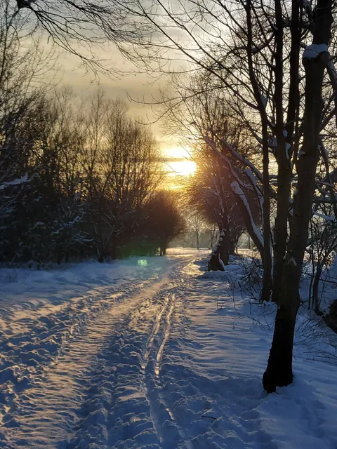 Diemeltaler Schmetterlings-Steig
