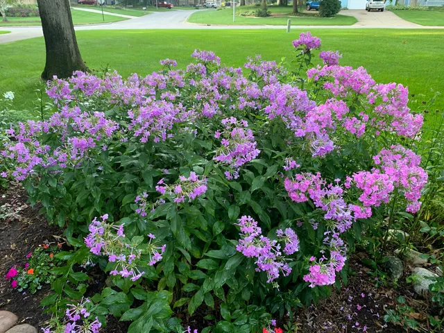 photo-1
