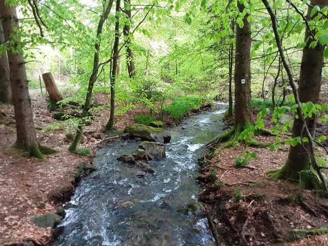 Traumschleife Zwei-Täler-Weg
