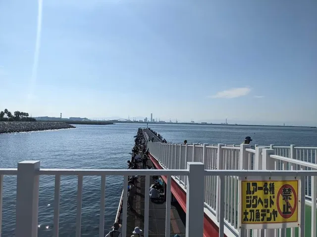 photo-1