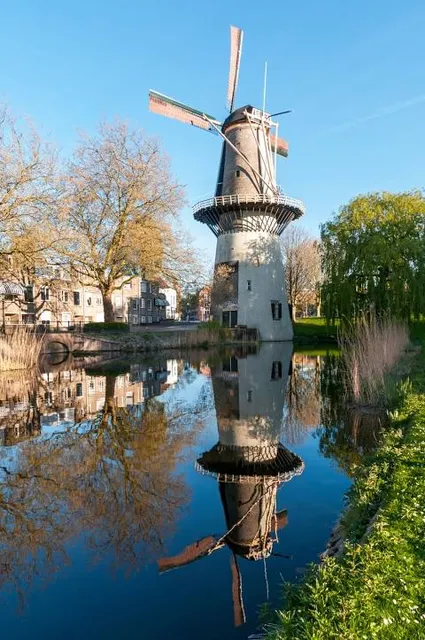 Museummolen De Walvisch