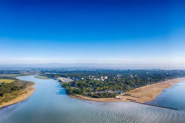 Riserva naturale Foce del Tagliamento