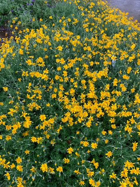 Fair Oaks Horticulture Center