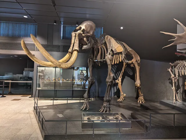 Palaeontological Museum of the University of Zurich