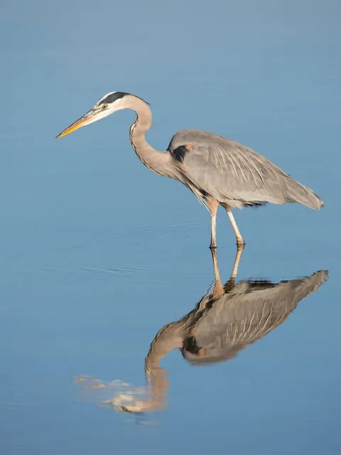 VIVA Beach & Restaurant