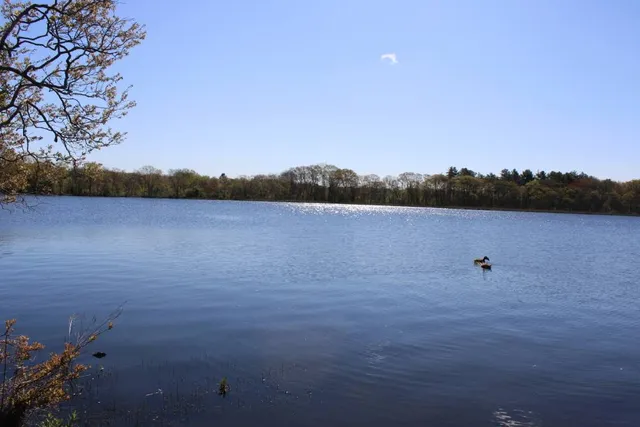 photo-3