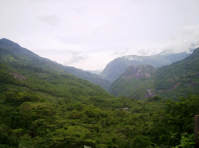 Eloxochitlán de Flores Magón