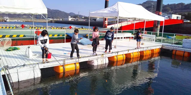 アマクサカイジョウツリボリラクツリ