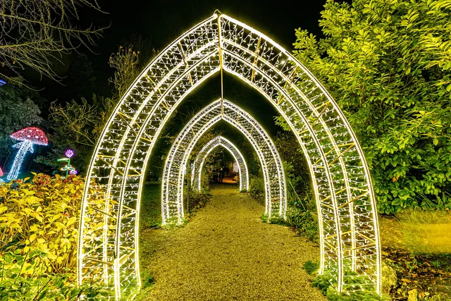 Illumina - magischer Lichtergarten