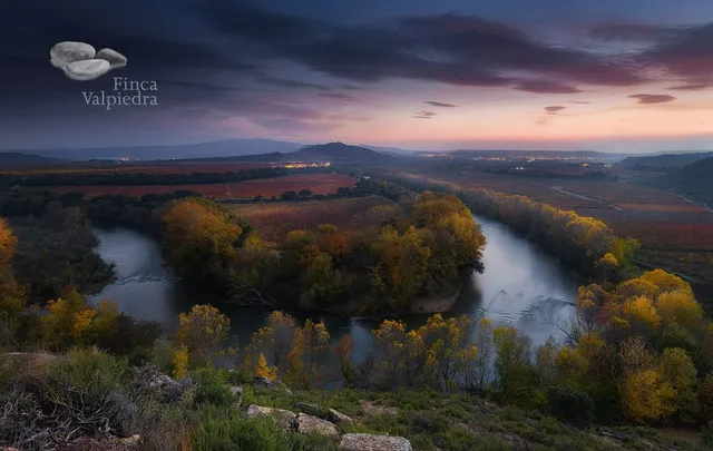 Bodega Finca Valpiedra