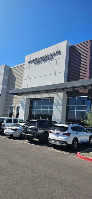 Anthropologie Home Outlet