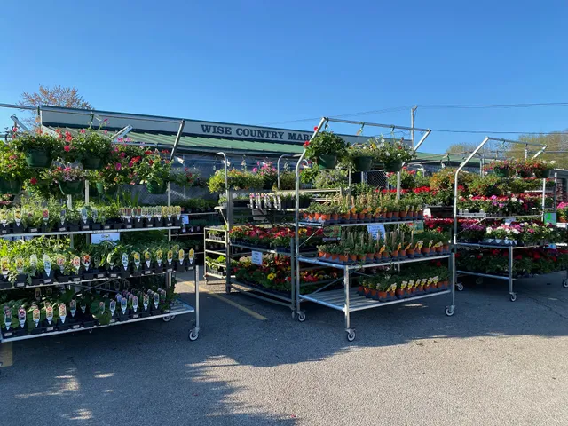 Wise Country Market