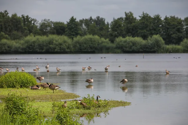 Biologische Station Rieselfelder Münster e.V.