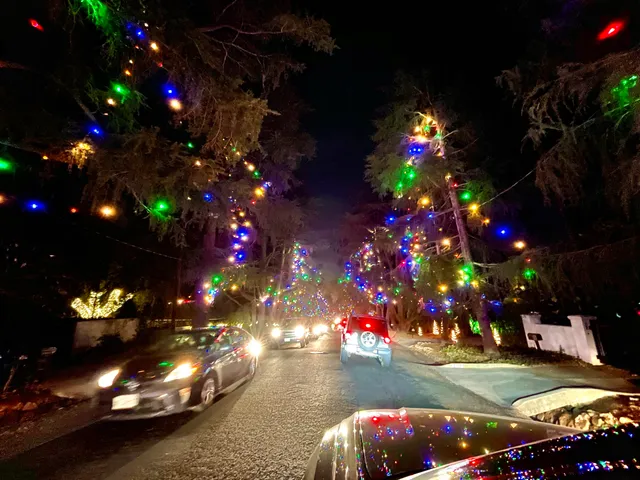 Christmas Tree Lane