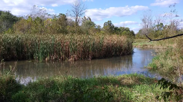 Beaver Creek Wetlands Reserve