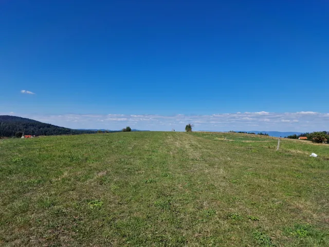 Racanska Šljivovica