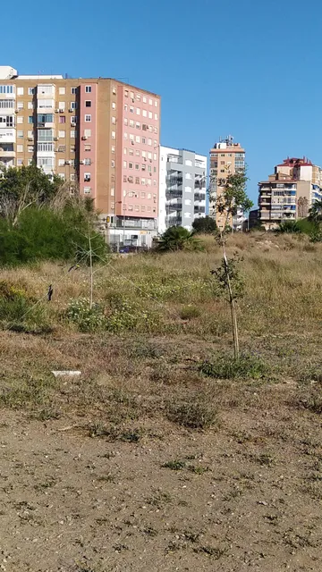 Bosque Urbano Málaga