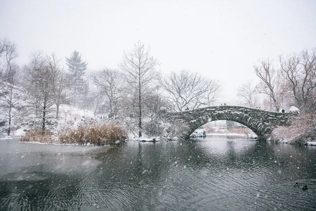 Central Park