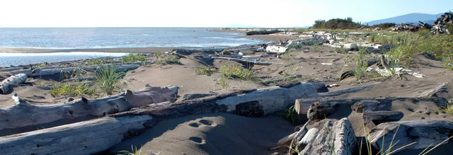 Iona Beach Regional Park