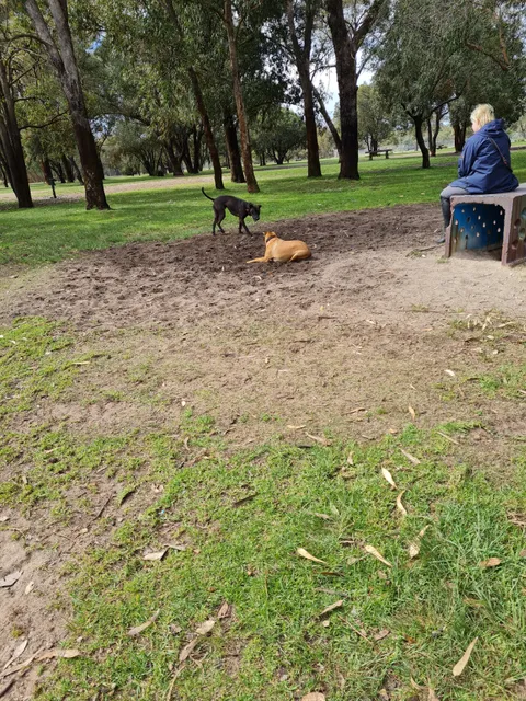 Whiteman Park Dog Park